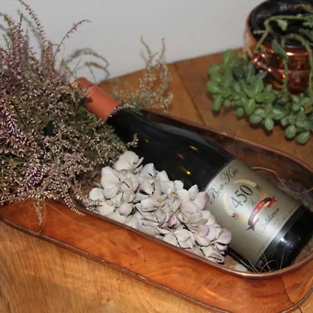 科若巴沃酒店 宾馆 3*