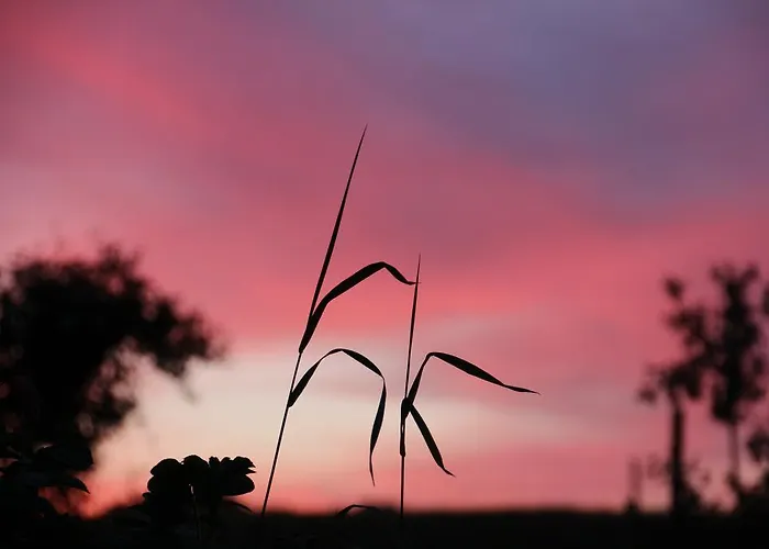 Bov Mini-hôtel Padborg